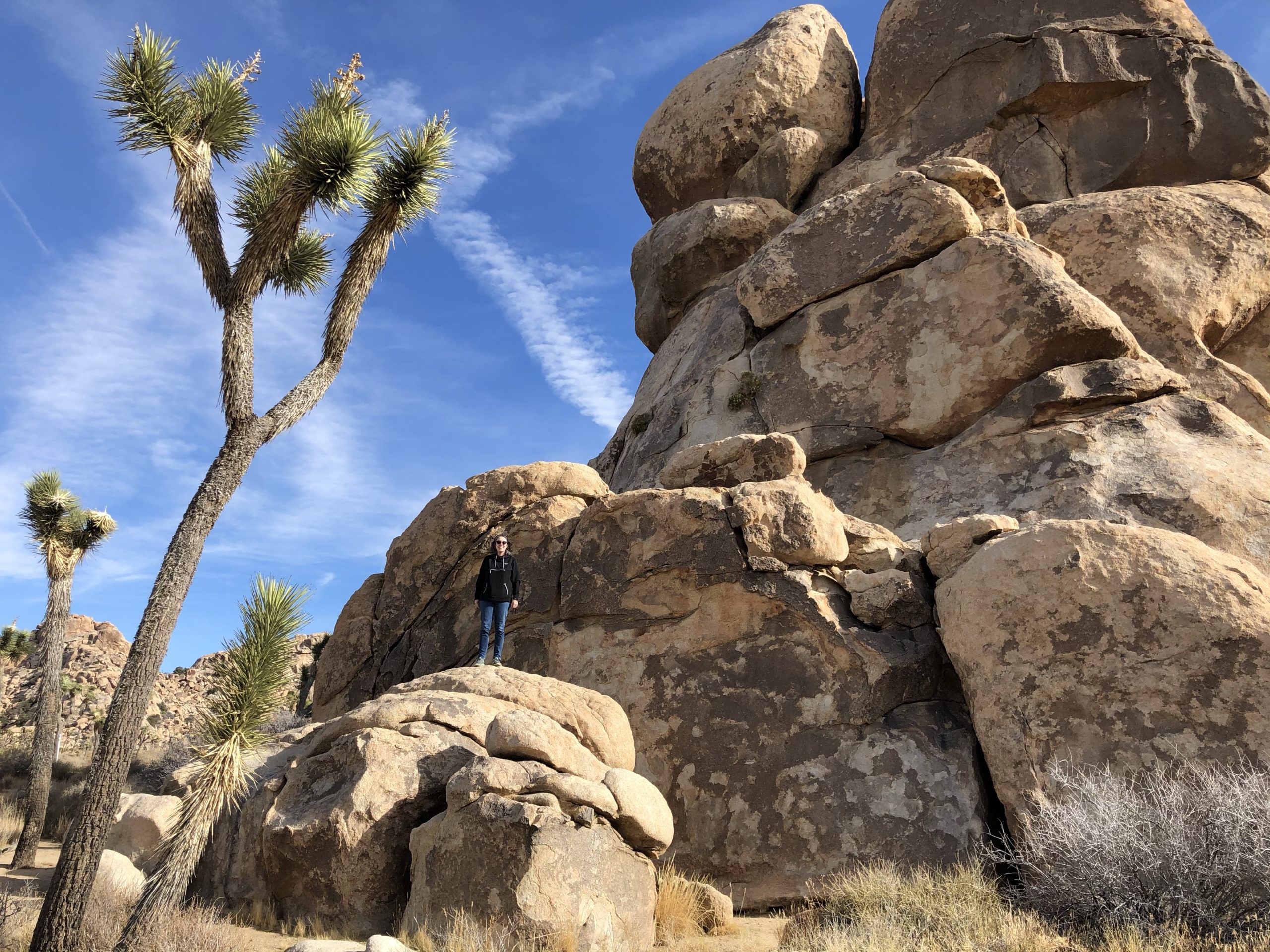 Bouldering in Joshua Tree